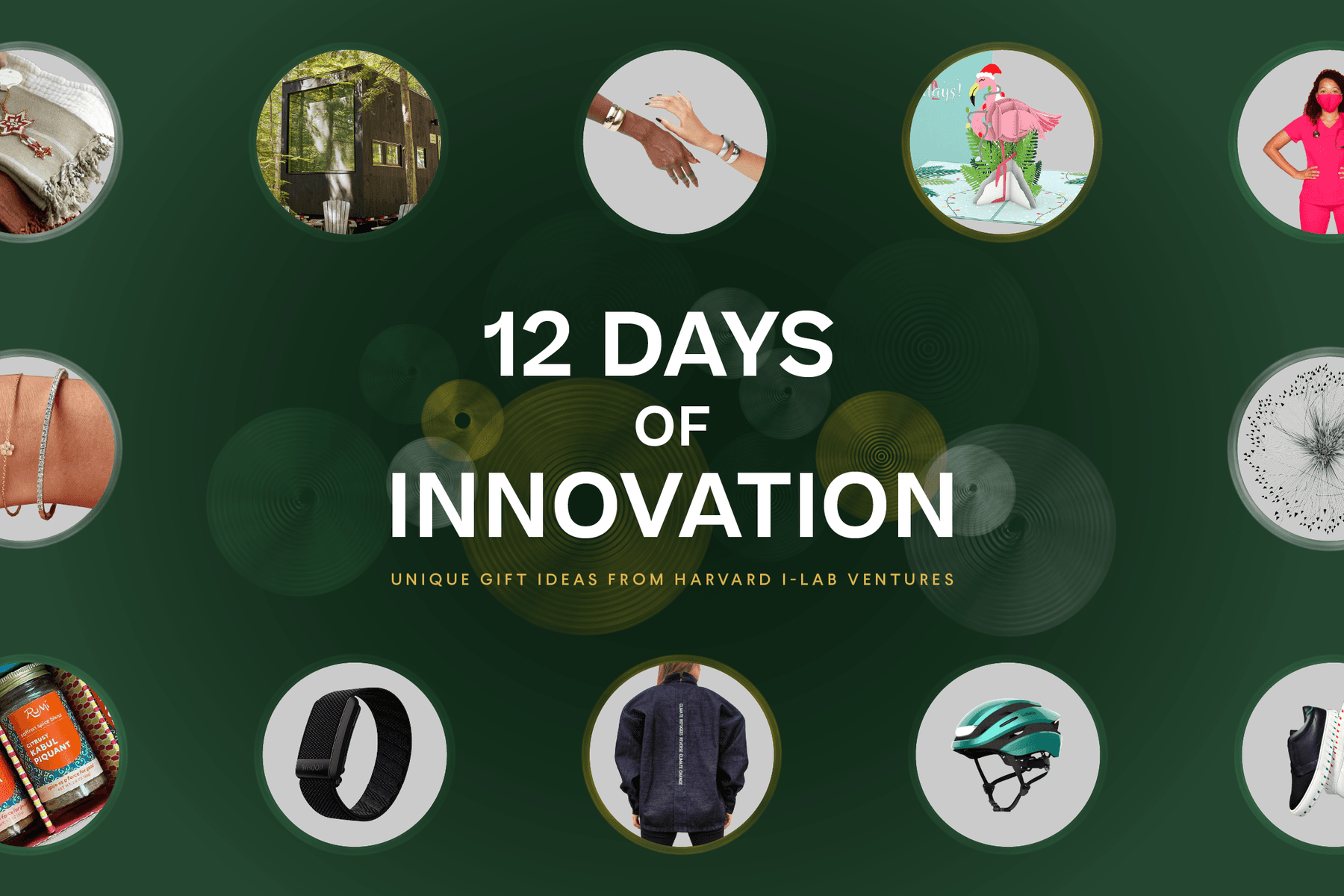 Gifts That Spark Joy and Curiosity