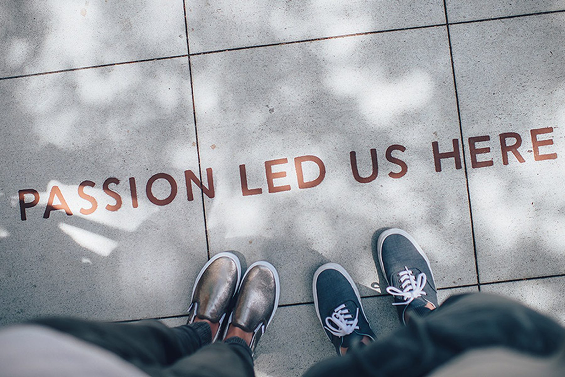 Passion Driven Business Ideas Passion Driven Business Ideas